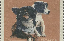 Первое живое существо в космосе