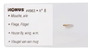 Набор микропрепаратов Konus 10: «Биология» (часть 1), изображение 3