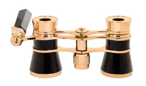 Театральный бинокль-лорнет Levenhuk Broadway 325E, изображение 8