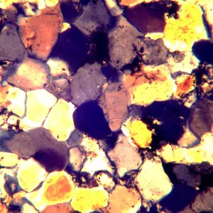 Микроскоп поляризационный MAGUS Pol 890, изображение 26