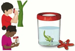 Банка для насекомых Navir «Мега» с лупой 3x и жуком, изображение 3