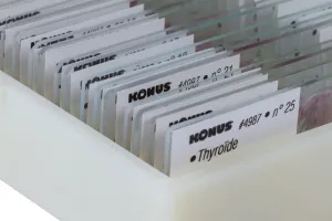 Набор микропрепаратов Konus 25: «Человеческое тело», изображение 3