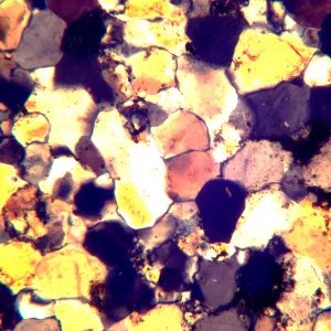 Микроскоп поляризационный цифровой MAGUS Pol D800, изображение 22