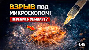 Взрыв под микроскопом! Перекись убивает?